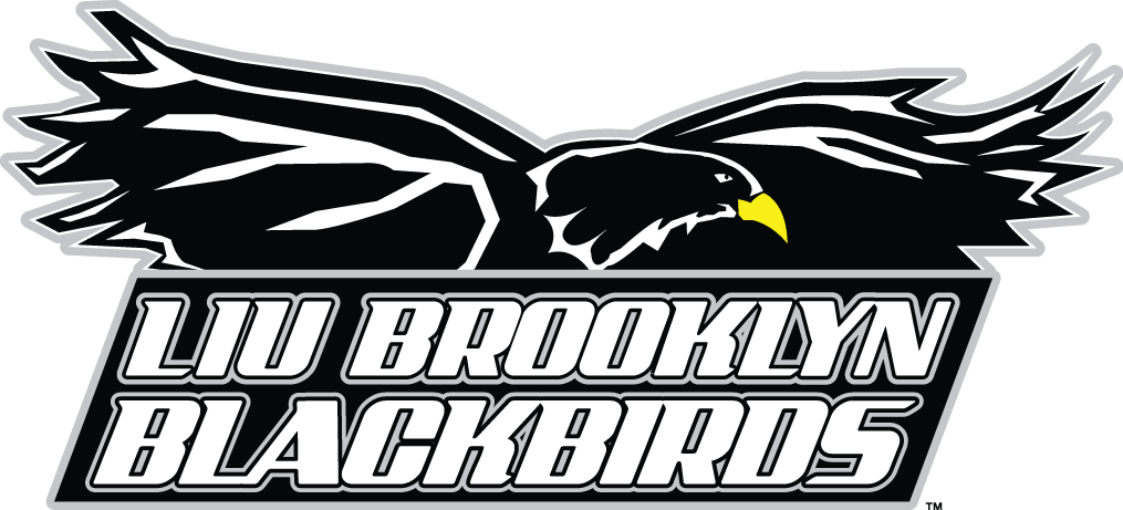 LIU-Brooklyn Blackbirds T shirt DIY iron-ons